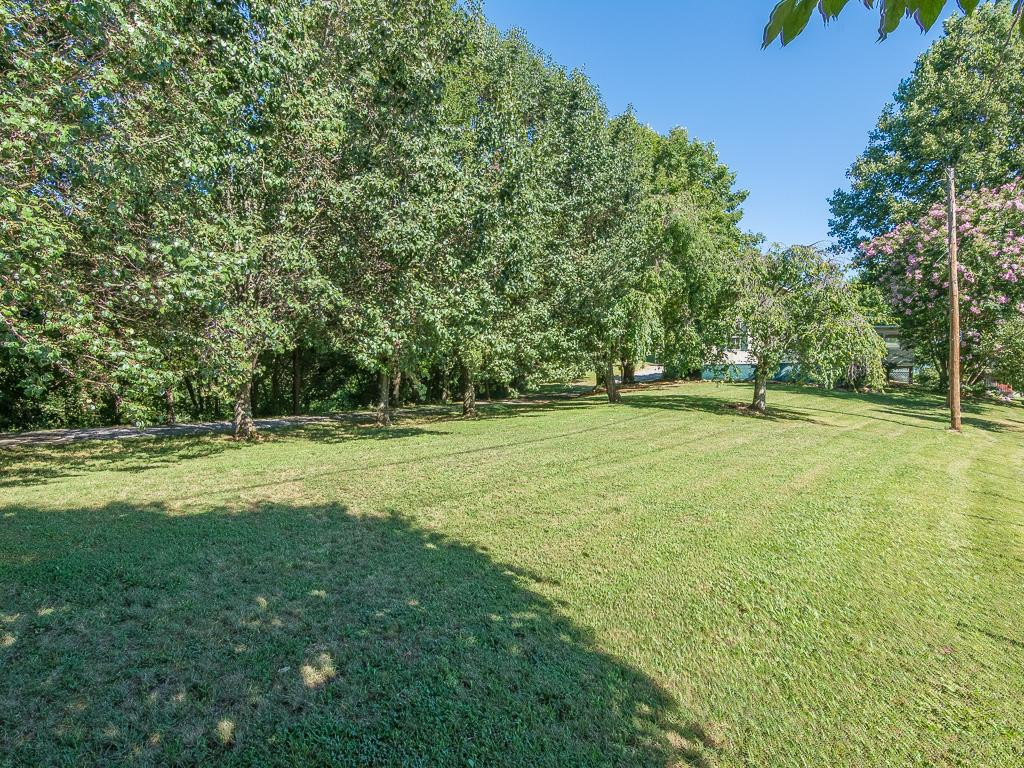 338 Cash Hollow Road Elizabethton, TN 37643 - Photo 8 of 36 Beautiful Private Yard