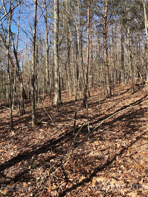 0 Hayes Road Columbus, NC 28722 - Photo 2 of 3 a view of yard