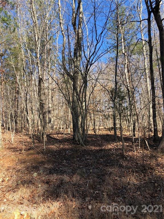 0 Hayes Road Columbus, NC 28722 - Photo 3 of 3 a view of outdoor space with lots of trees