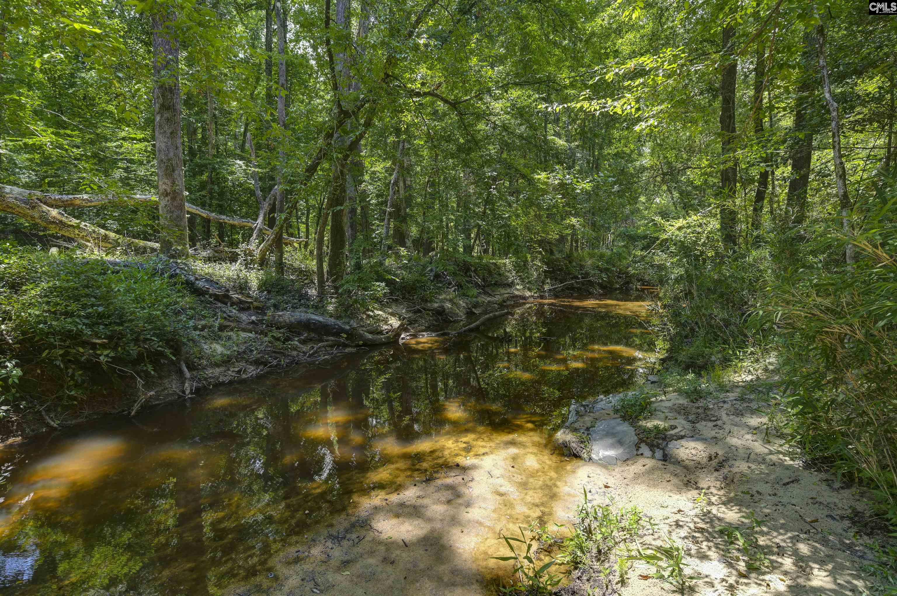 317 Horse Cove Road Gilbert, SC 29054 - Photo 34 of 86