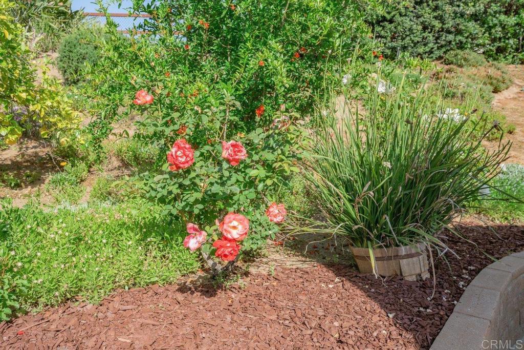 17205 Montero Road San Diego, CA 92128 - Photo 31 of 46