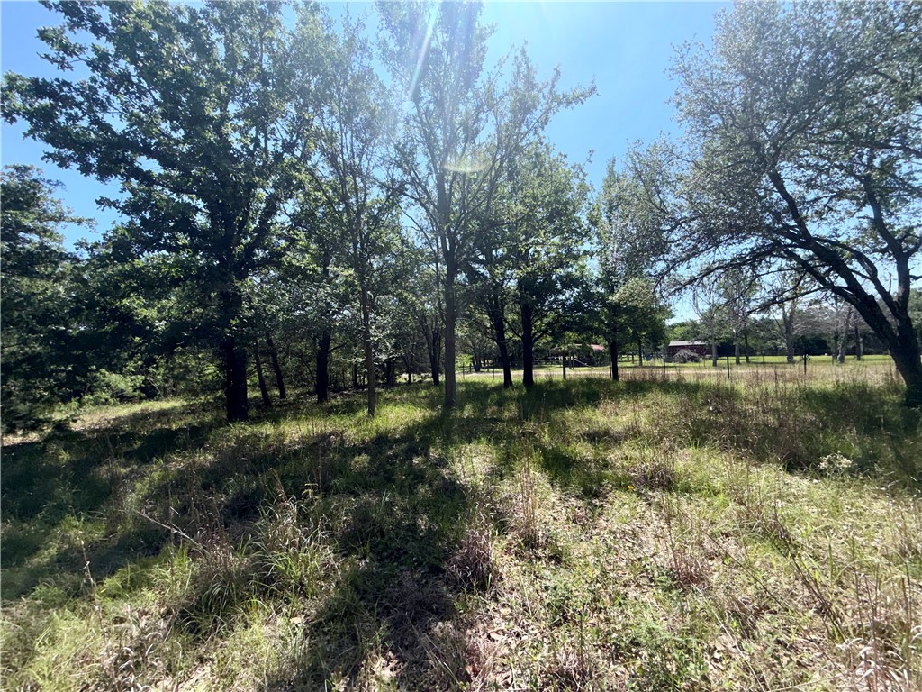 545 Cranberry Road Somerville, TX 77879 - Photo 13 of 19