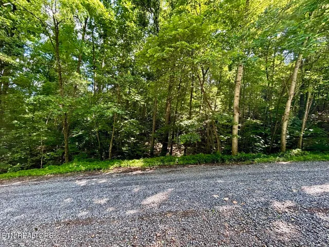 $49,900 | Tbd Grand Country Drive, Cosby, TN 37722