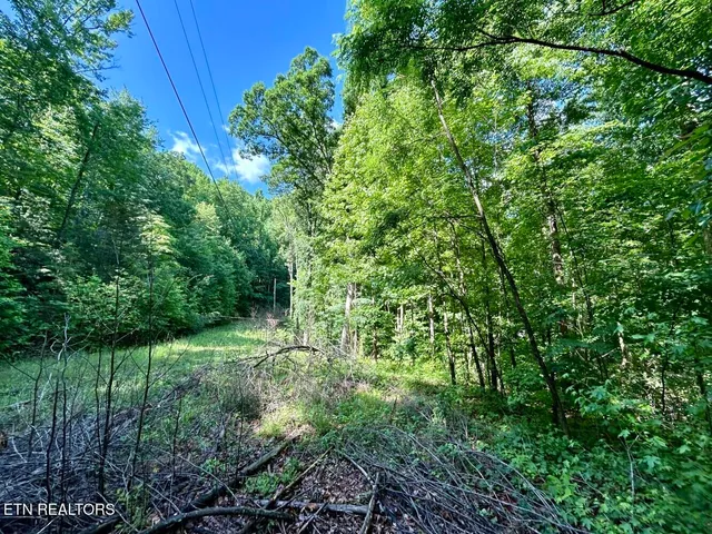 $49,900 | Tbd Grand Country Drive, Cosby, TN 37722