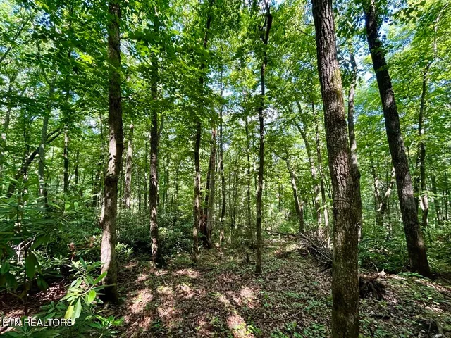 $49,900 | Tbd Grand Country Drive, Cosby, TN 37722