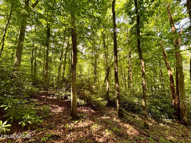 $49,900 | Tbd Grand Country Drive, Cosby, TN 37722
