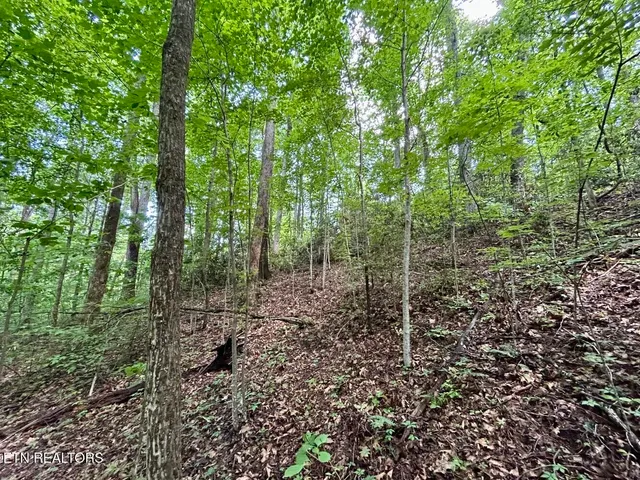 $49,900 | Tbd Grand Country Drive, Cosby, TN 37722