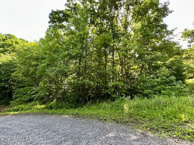 $49,900 | Tbd Grand Country Drive, Cosby, TN 37722