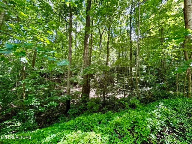 $49,900 | Tbd Grand Country Drive, Cosby, TN 37722