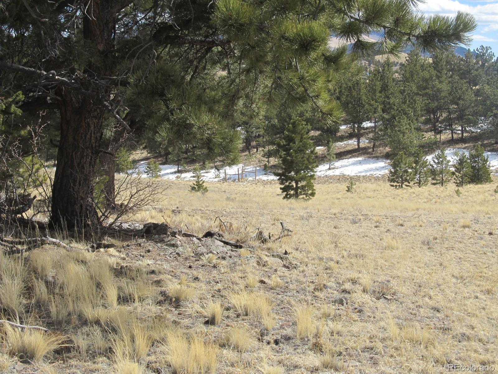 Lashbrook Road Hartsel, CO 80449 - Photo 4 of 7