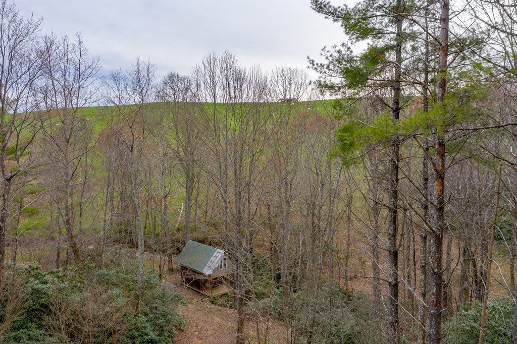 3-acres Winding Ridge Road, Unit 14C Hillsville, VA 24343 - Photo 24 of 35 Gallery Image 24