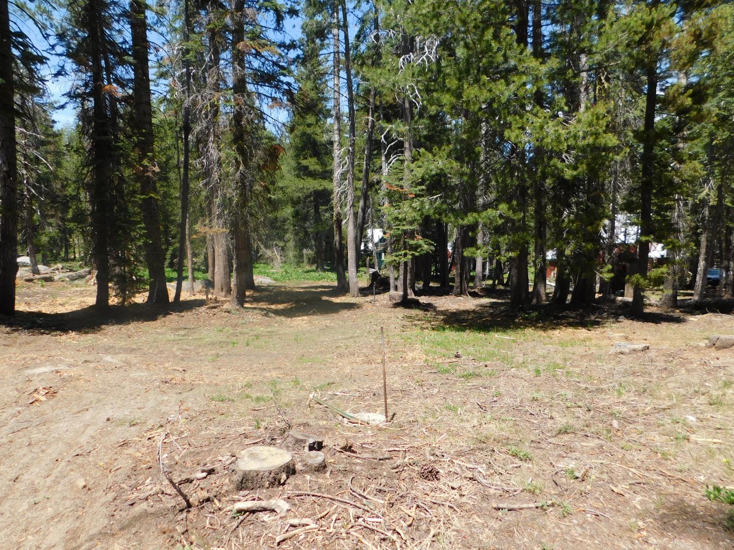 282 Little Buck Road, Unit 3104 Arnold, CA 95223 - Photo 1 of 1 a view of outdoor space with trees