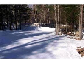 0 Halfmoon Pond Road Washington, NH 03280 - Photo 4 of 7