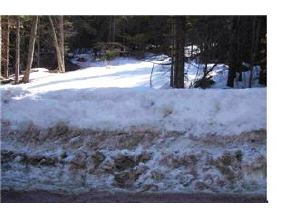 0 Halfmoon Pond Road Washington, NH 03280 - Photo 6 of 7