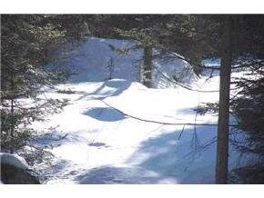 0 Halfmoon Pond Road Washington, NH 03280 - Photo 7 of 7