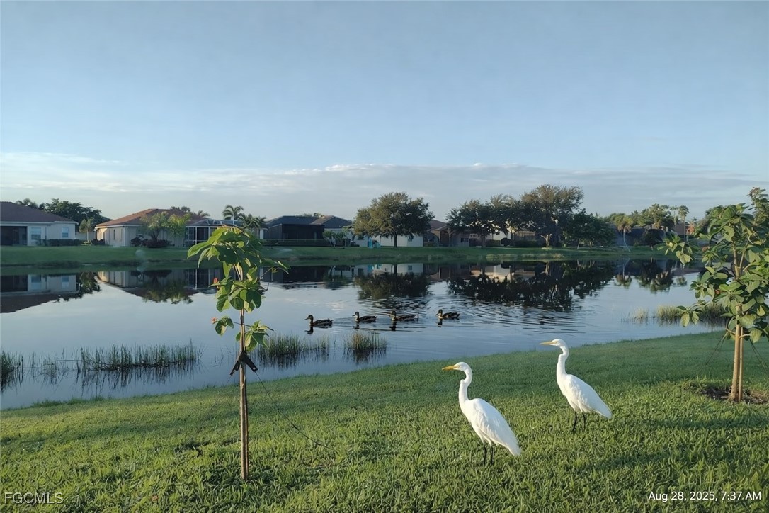 4709 Fairloop Run Lehigh Acres, FL 33973 - Photo 6 of 25 an aerial view of a house with outdoor space swimming pool and lake view
