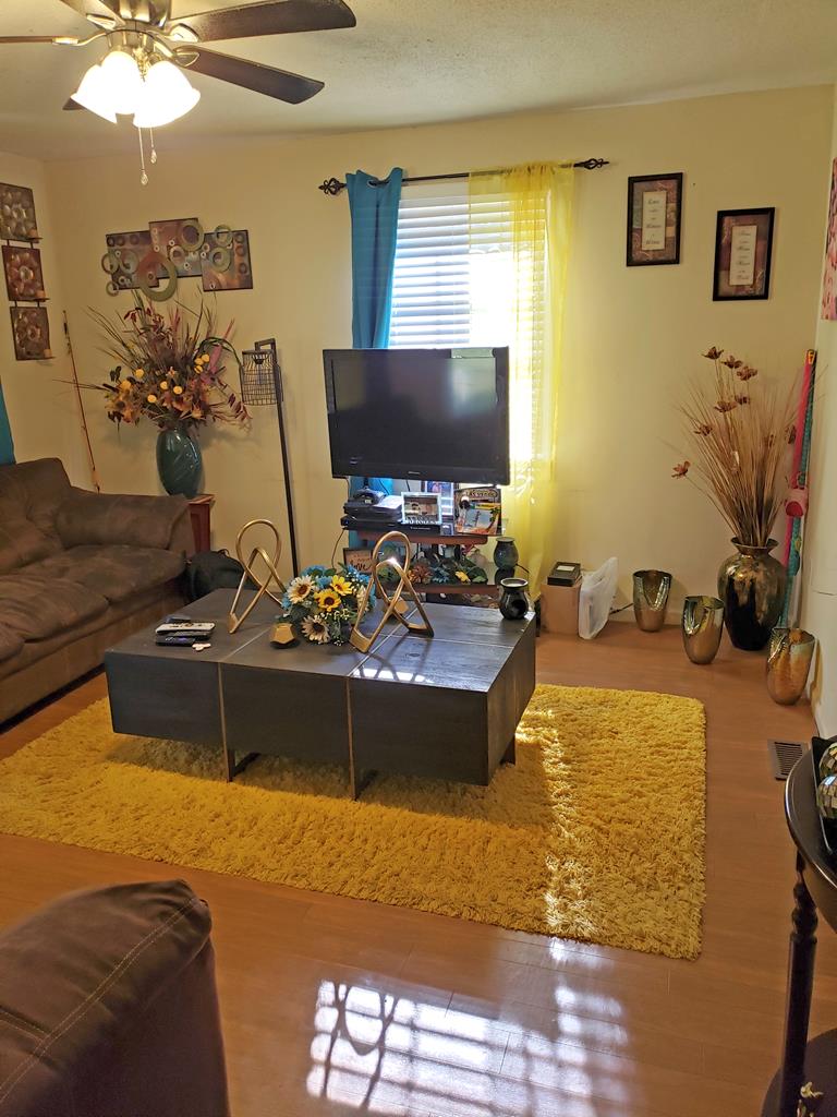 238 Hwy Shop Road Farmville, VA 23901 - Photo 3 of 8 Gallery Image 3