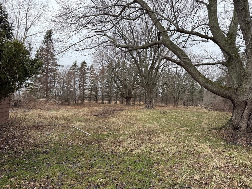 3912 Long Bridge Road Albion, NY 14411 - Photo 6 of 16