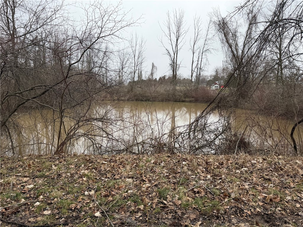 3912 Long Bridge Road Albion, NY 14411 - Photo 8 of 16