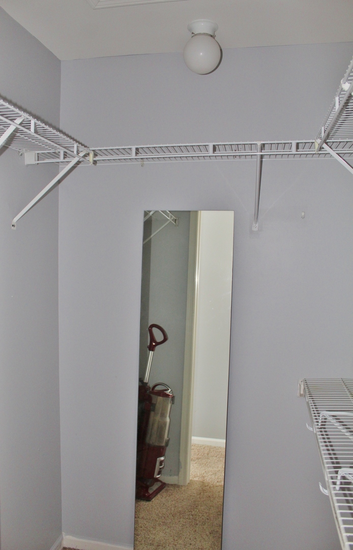 651 Chestnut Ridge Minooka, IL 60447 - Photo 22 of 33 a view of bathroom