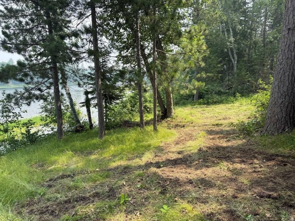 0 Power Dam Road Northeast Bemidji, MN 56601 - Photo 3 of 13