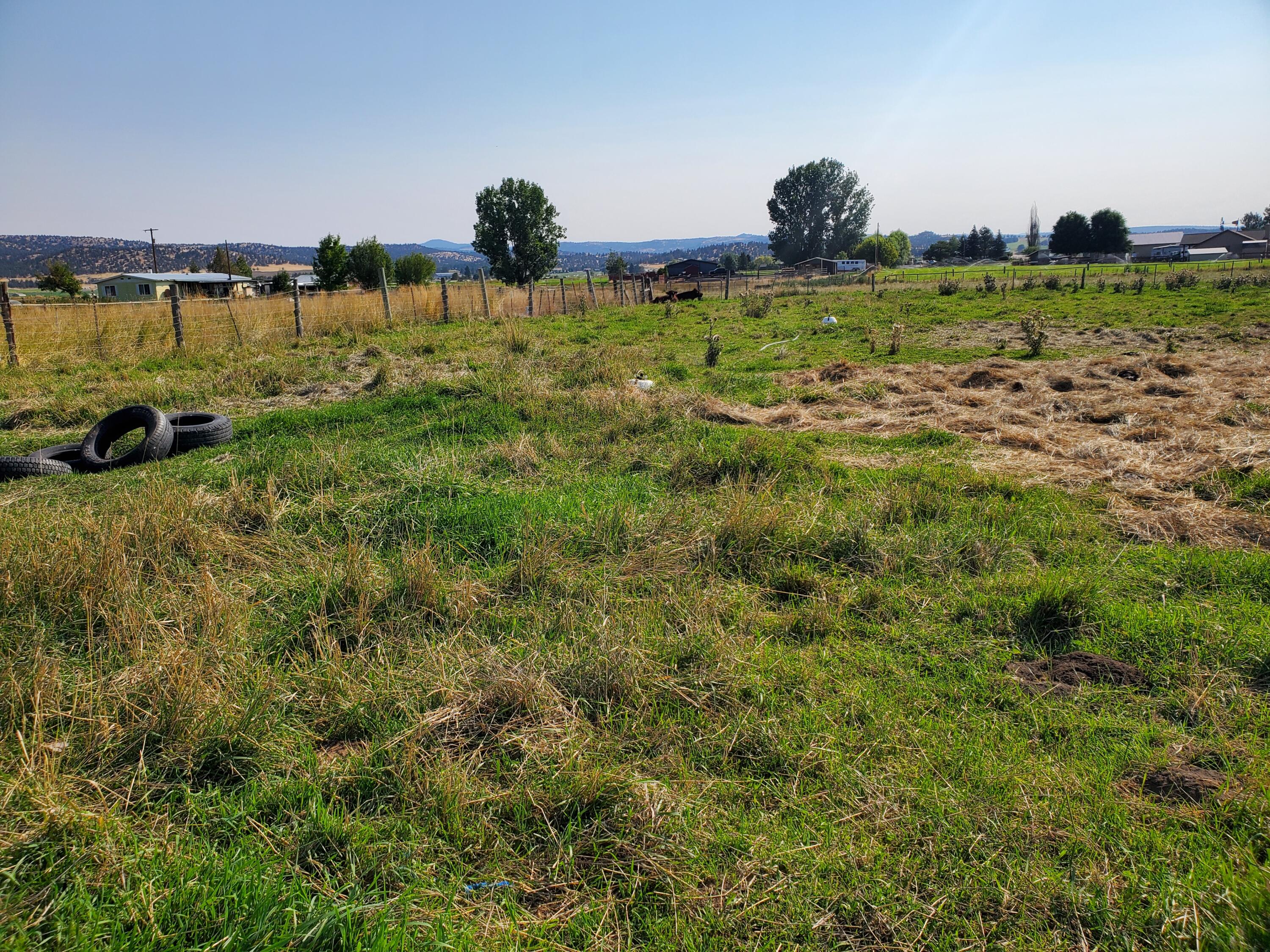7552 Edwards Road Prineville, OR 97754 - Photo 10 of 19 Pasture