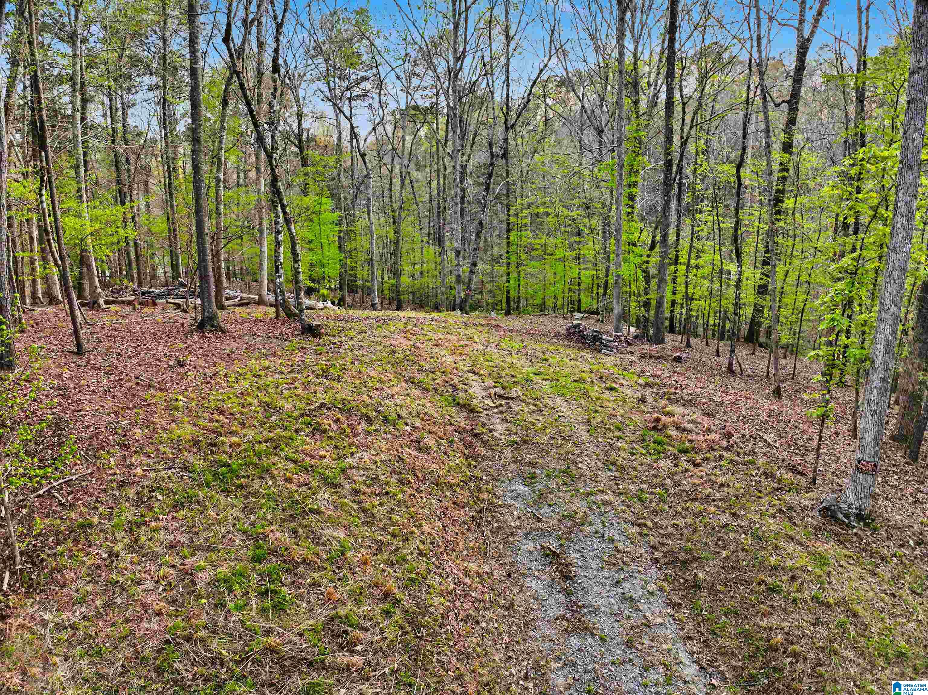 841 Raintree Drive, Unit 53 Alexander City, AL 35010 - Photo 10 of 17