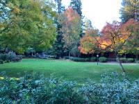 198 Central Avenue Mountain View, CA 94043 - Photo 1 of 5 a view of yard with green space