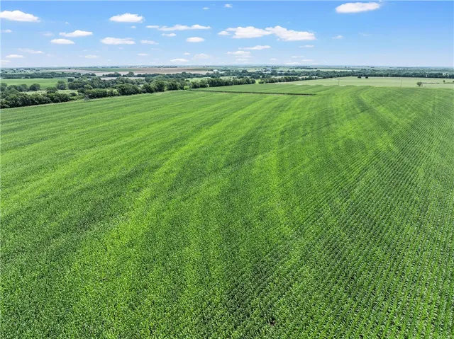 $1,263,000 | Tbd Cottonwood Road, West, TX 76691