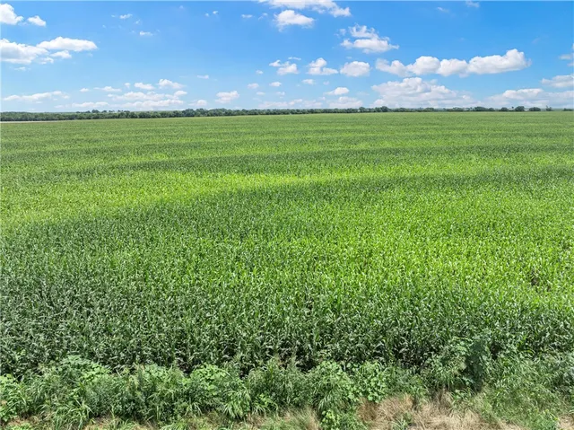 $1,263,000 | Tbd Cottonwood Road, West, TX 76691