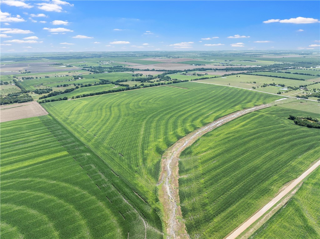 Tbd Cottonwood Road West, TX 76691 - Photo 5 of 12