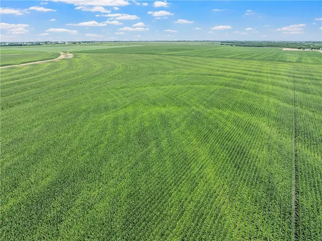 $1,263,000 | Tbd Cottonwood Road, West, TX 76691