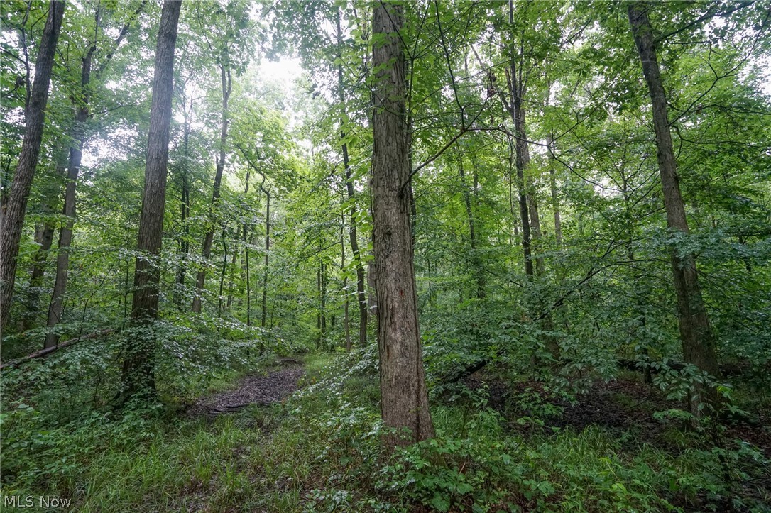 Duncanson Road Sardinia, OH 45171 - Photo 13 of 50 Gallery Image 13