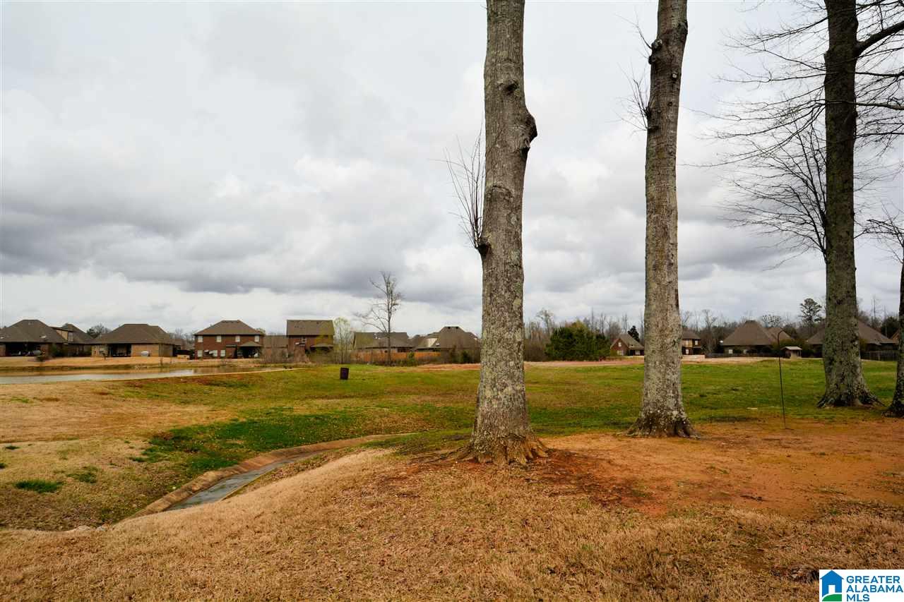 467 Heathersage Road Alabaster, AL 35114 - Photo 28 of 33
