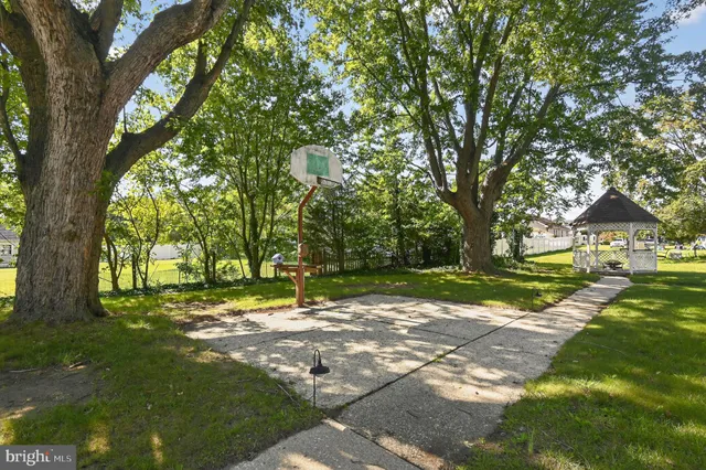 a view of a backyard with a garden and trees