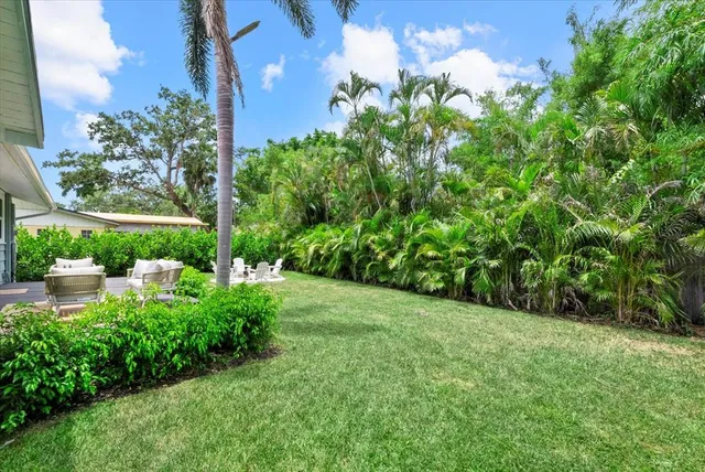 a view of a garden with plants and large trees