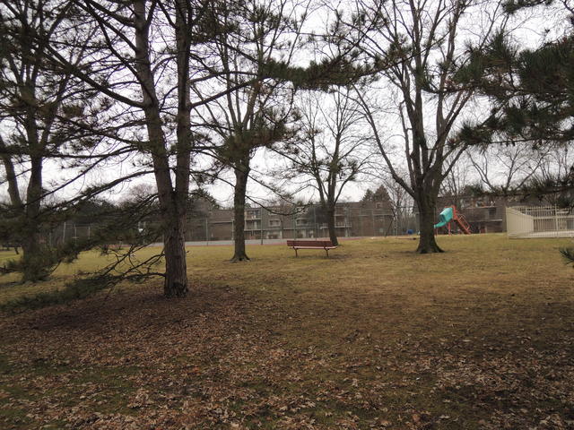 204 East Bailey Road, Unit D Naperville, IL 60565 - Photo 14 of 15