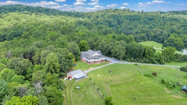 a view of a backyard with plants and a large tree