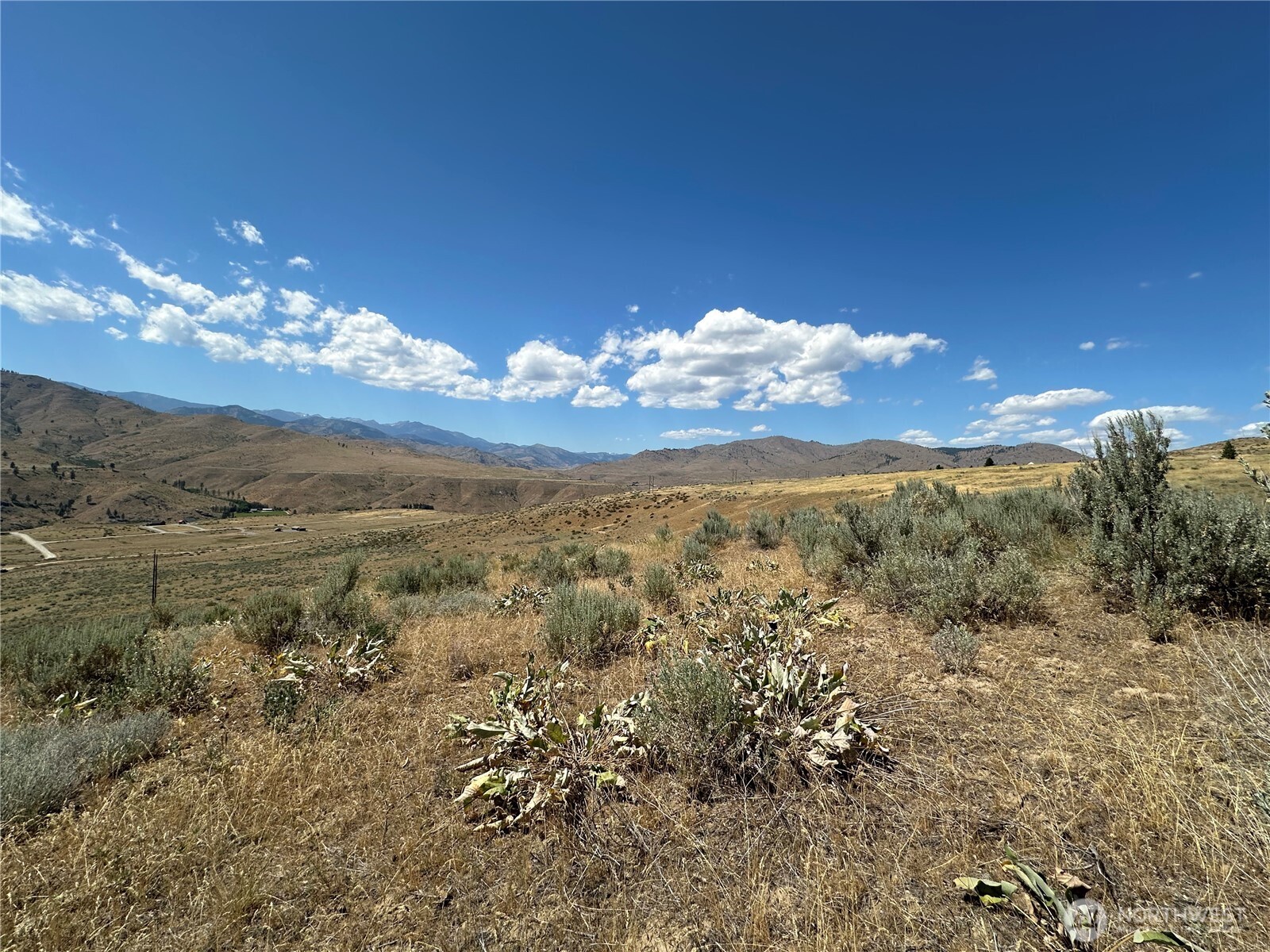 -tbd Peterson Rnch Road Pateros, WA 98846 - Photo 12 of 20 a view of a big yard with lots of bushes