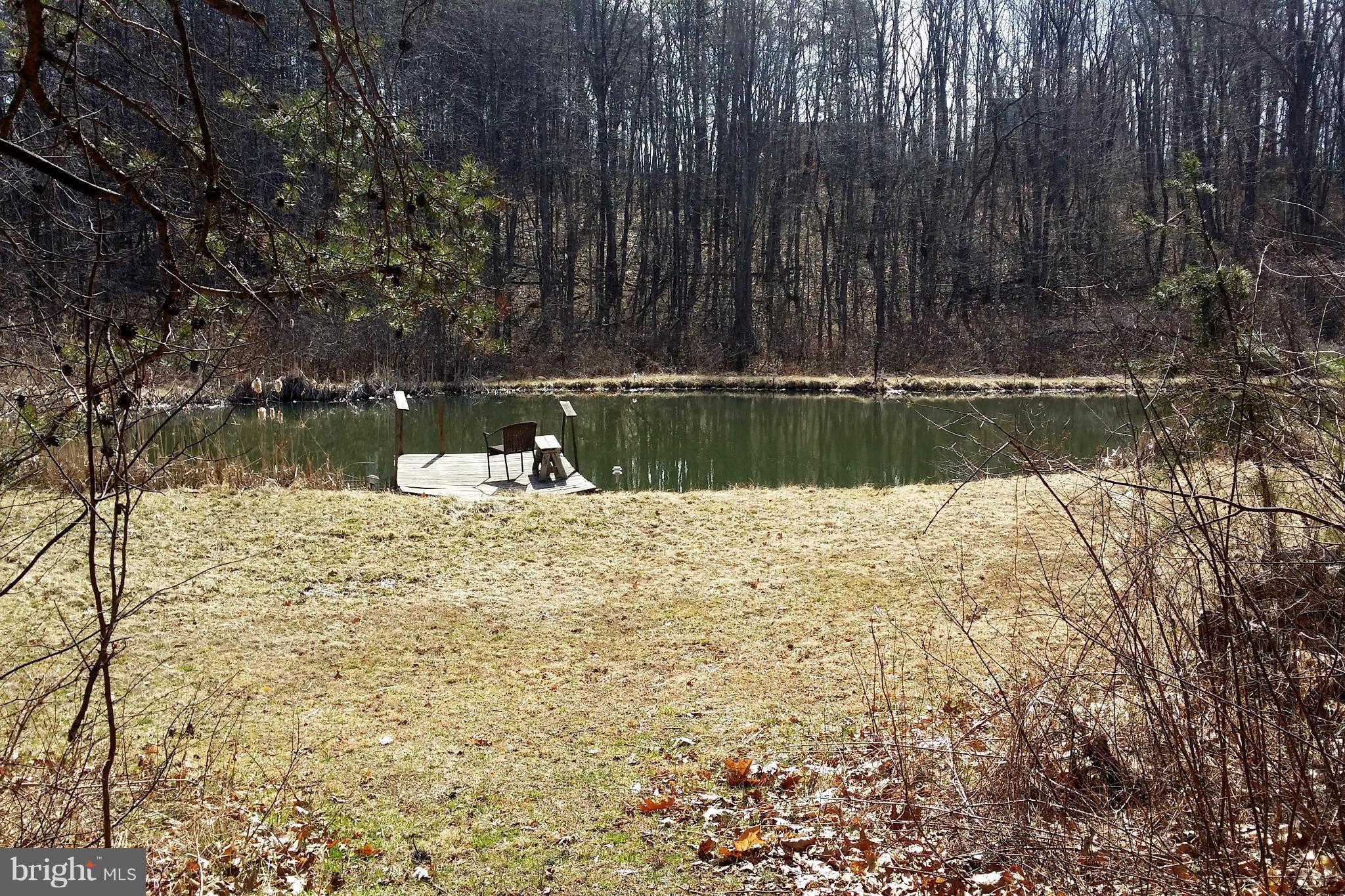 177 Sleepywoods Road Cross Junction, VA 22625 - Photo 12 of 30 Stocked Private Pond