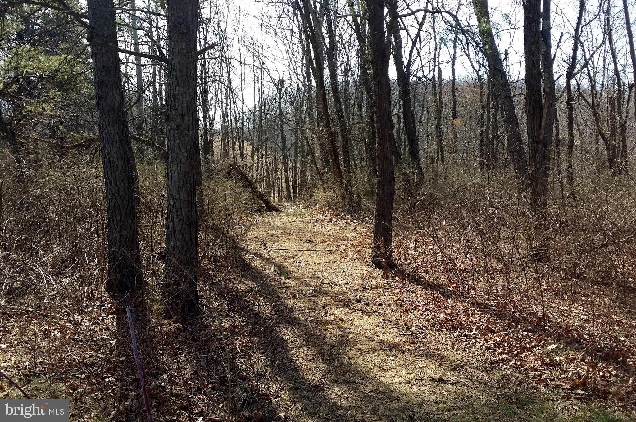 177 Sleepywoods Road Cross Junction, VA 22625 - Photo 29 of 30 Woods & Trails