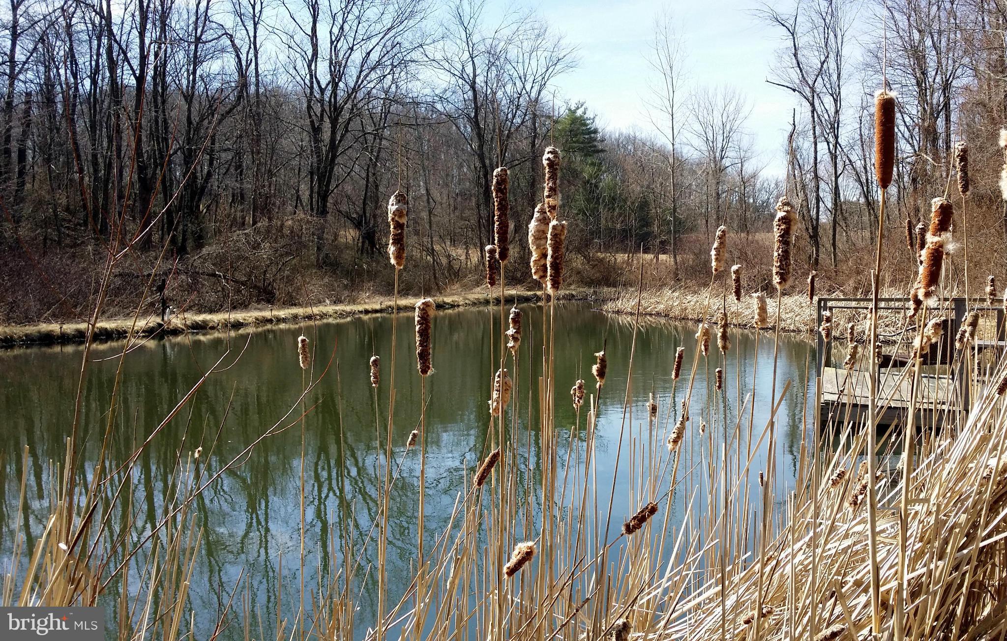 177 Sleepywoods Road Cross Junction, VA 22625 - Photo 4 of 30 Stocked Private Pond