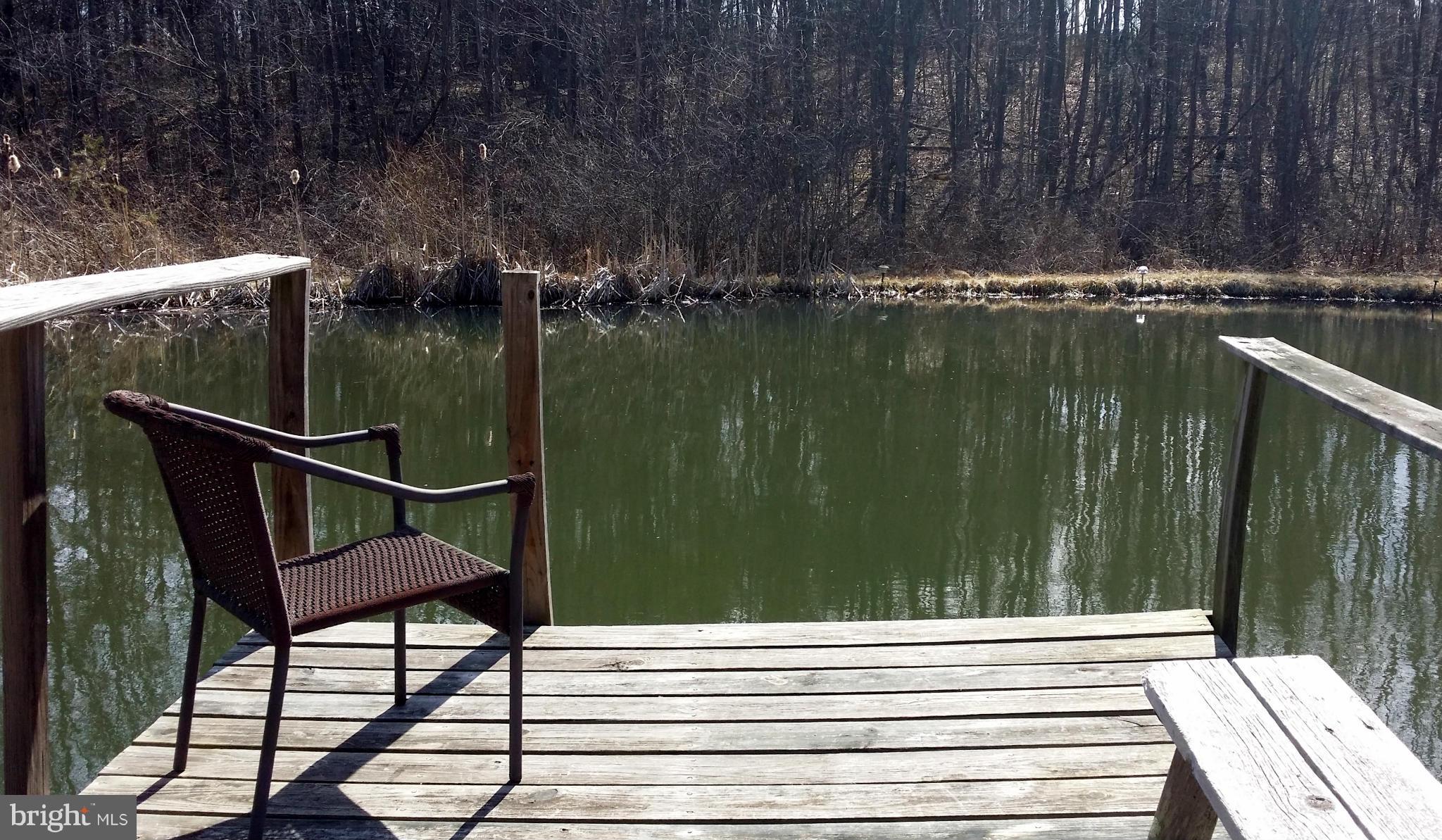 177 Sleepywoods Road Cross Junction, VA 22625 - Photo 6 of 30 Stocked Pond