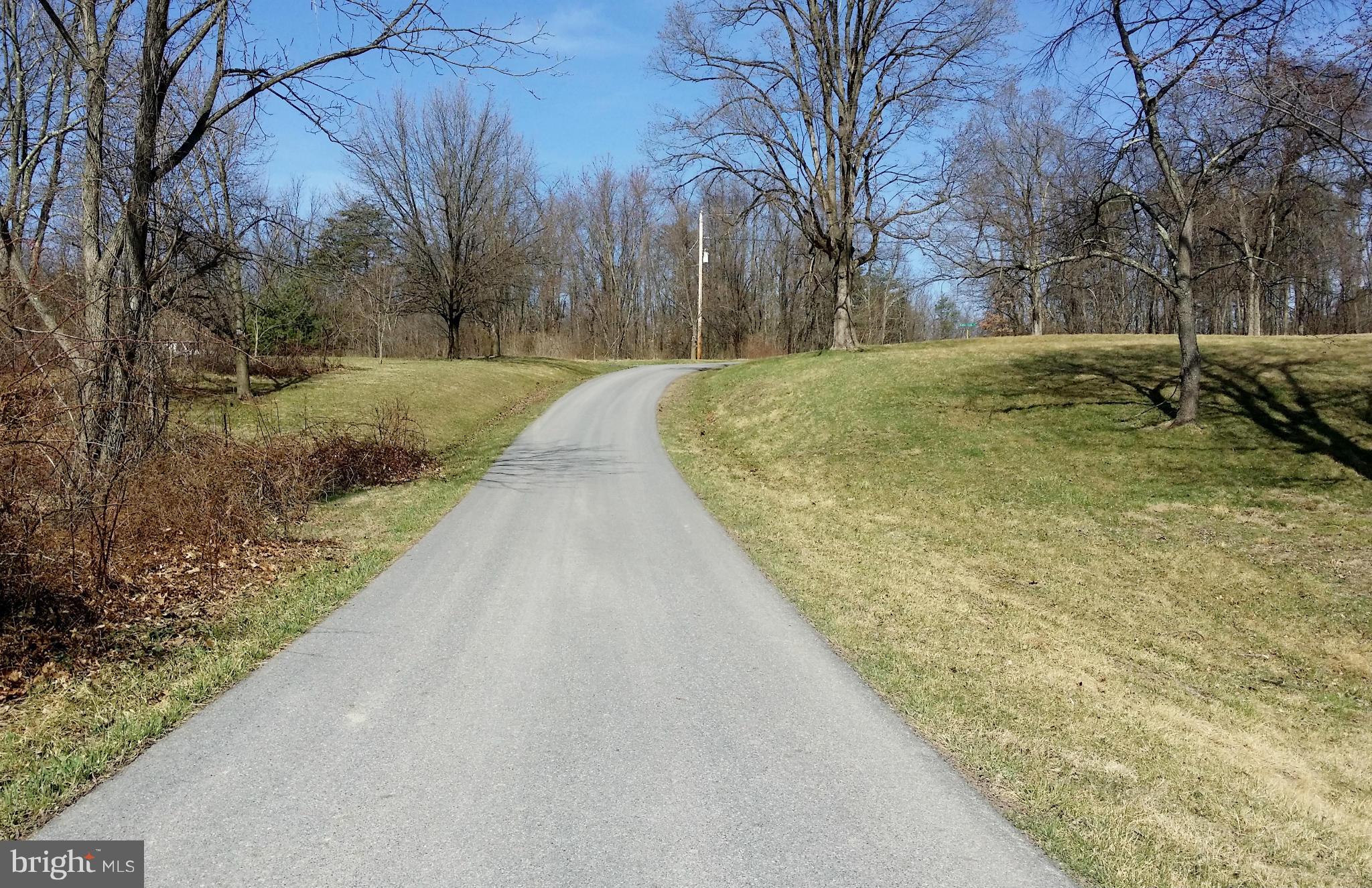 177 Sleepywoods Road Cross Junction, VA 22625 - Photo 9 of 30 Paved Driveway