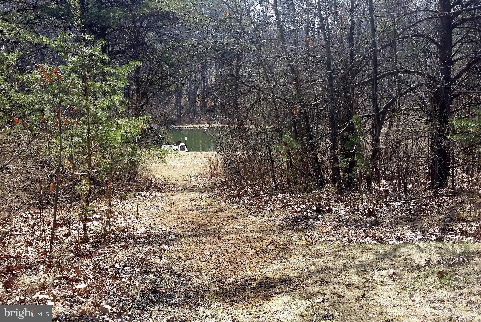 177 Sleepywoods Road Cross Junction, VA 22625 - Photo 10 of 30 Trails