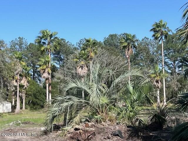 0 Reid Packing House Road Hastings, FL 32145 - Photo 2 of 7 1