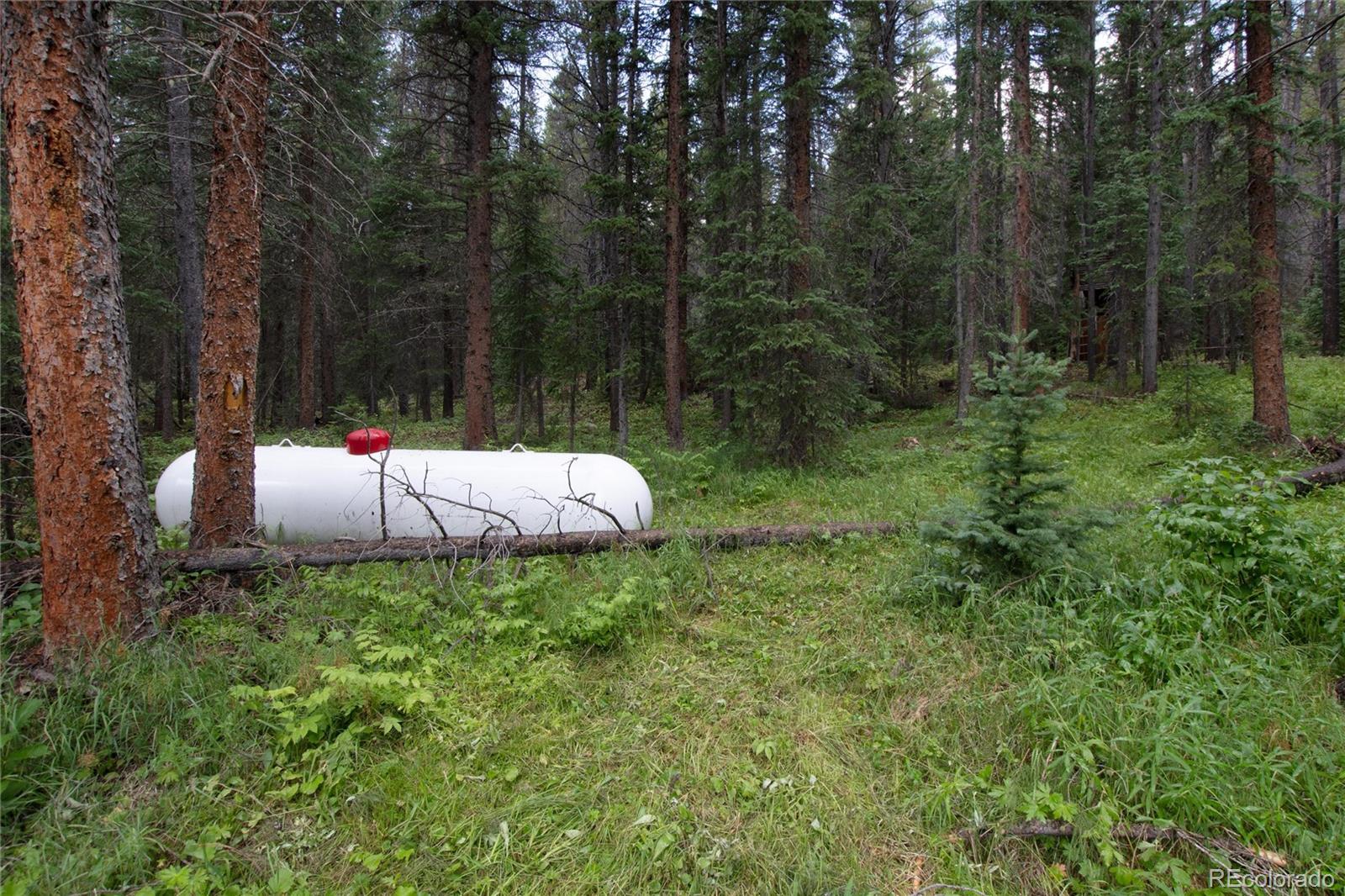 940 Rainbow Road Idaho Springs, CO 80452 - Photo 33 of 44 Gallery Image 33