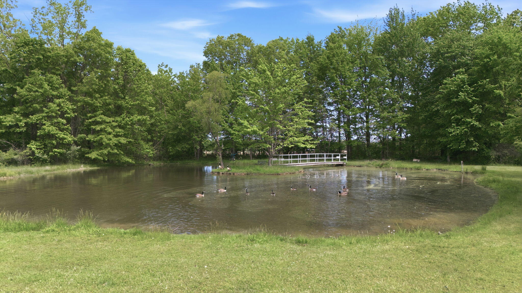7767 Warren Woods Road Three Oaks, MI 49128 - Photo 45 of 59 Pond