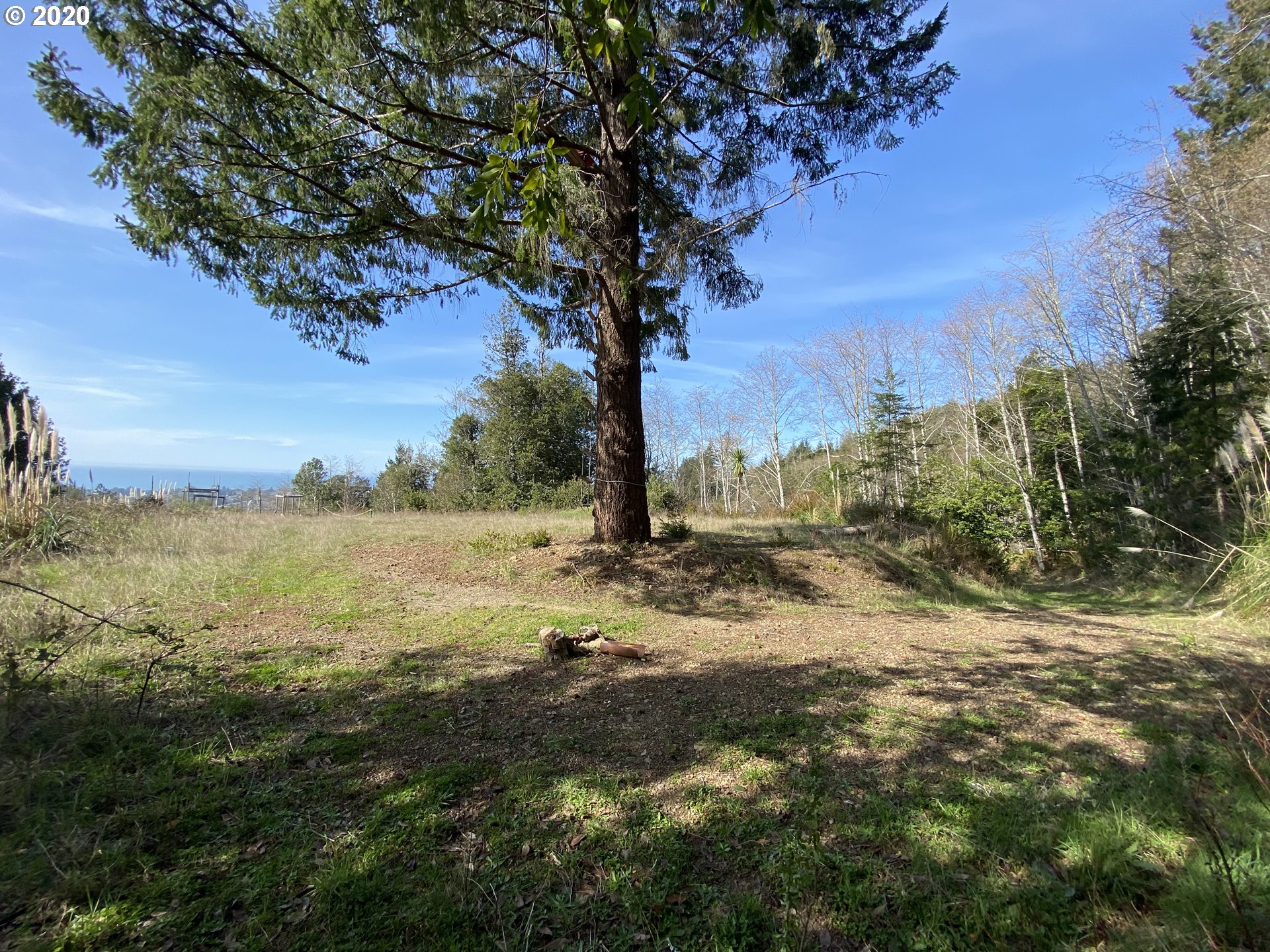98107 Rivendell Lane Brookings, OR 97415 - Photo 21 of 25 Acreage