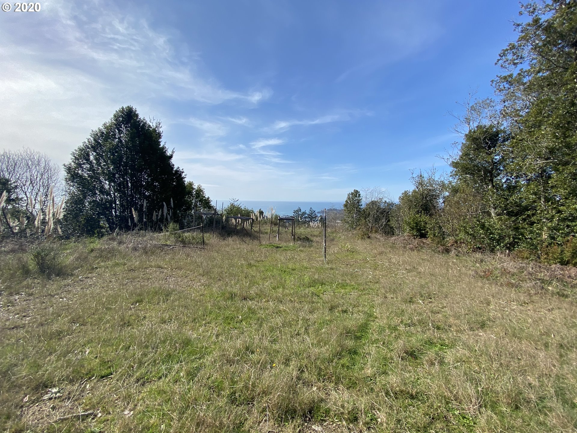 98107 Rivendell Lane Brookings, OR 97415 - Photo 22 of 25 Acreage
